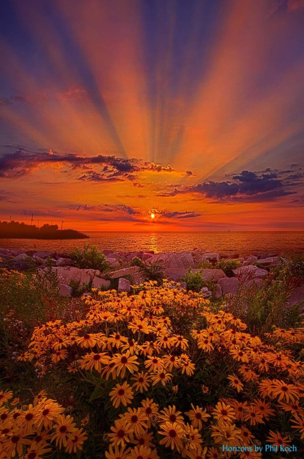 красивые рассветы