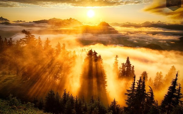 новый рассвет