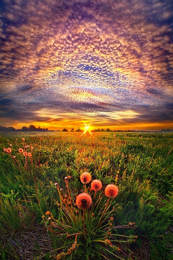 красивые рассветы