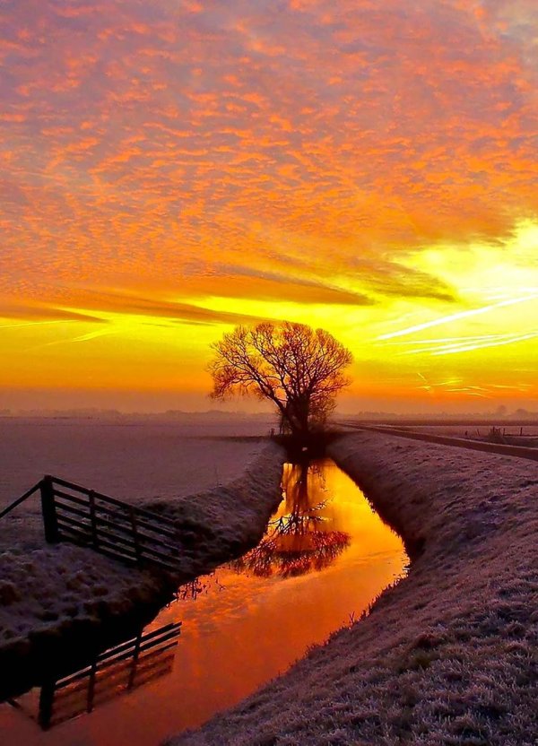 пейзажи из жизни