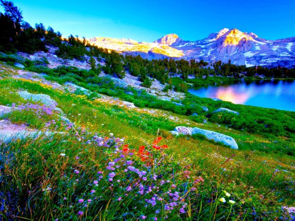 альпийские луга франции