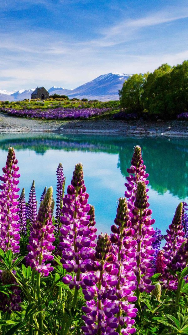 текапо новая зеландия