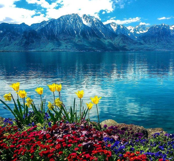 озеро лугано мак