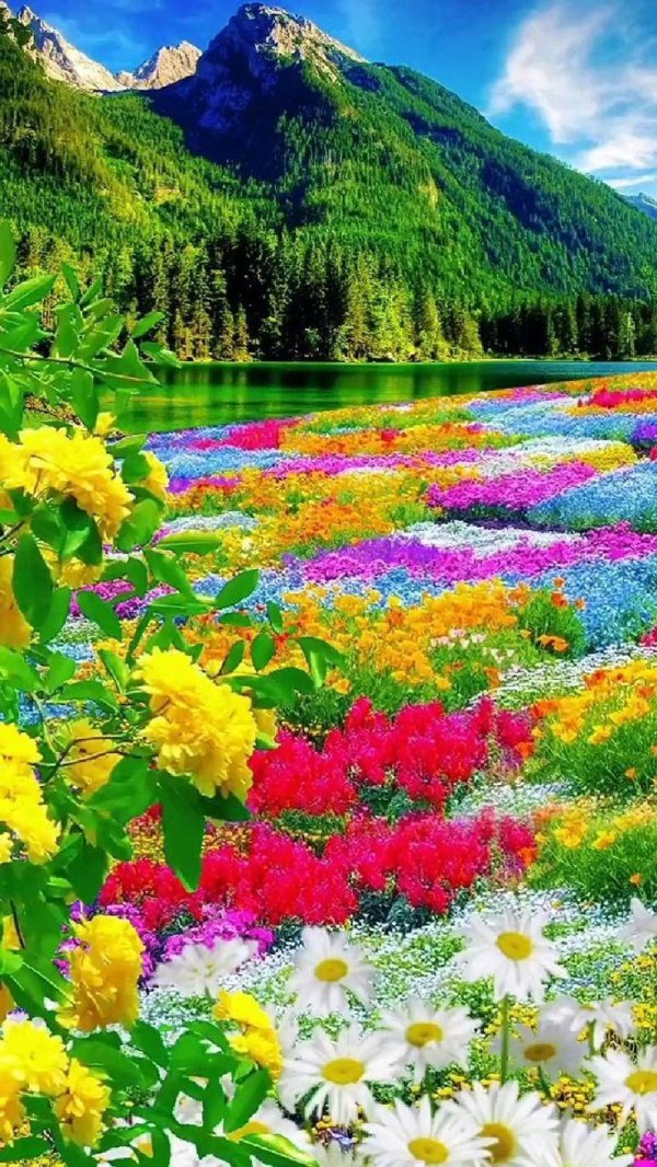 the scenery is beautiful