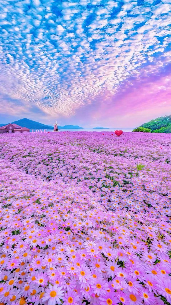 Природы с цветами