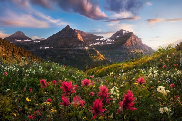 национальный парк глейшер