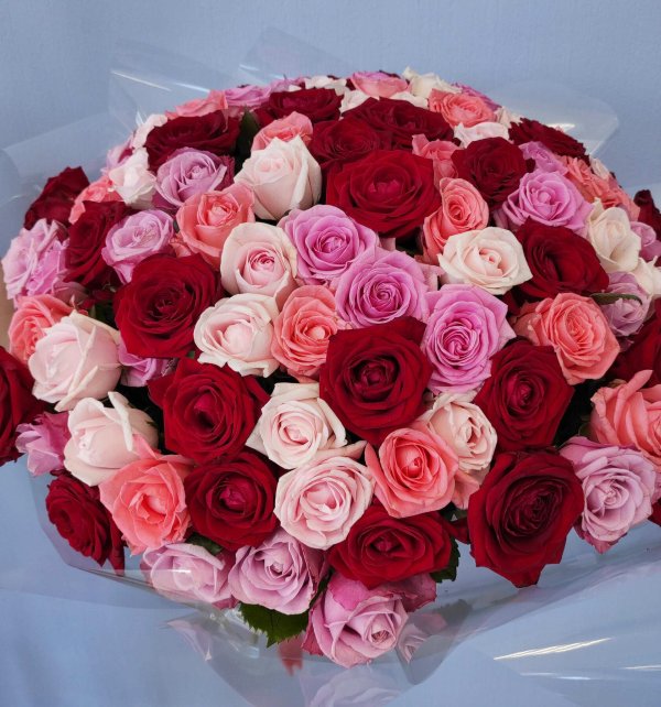 шангри ла роза