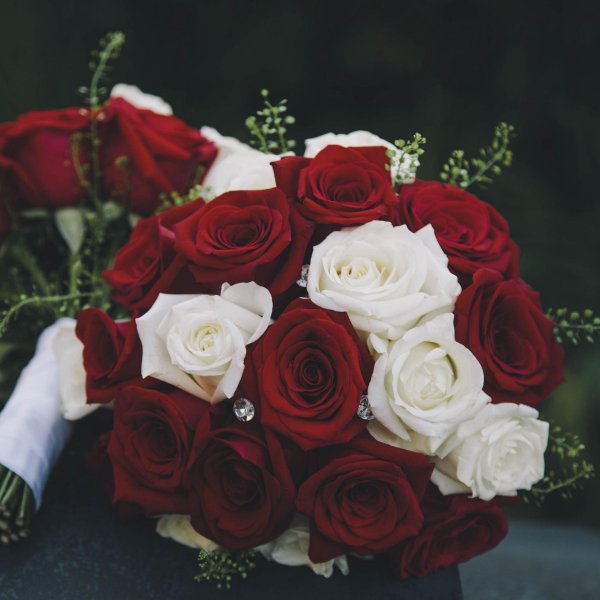 бело красная роза