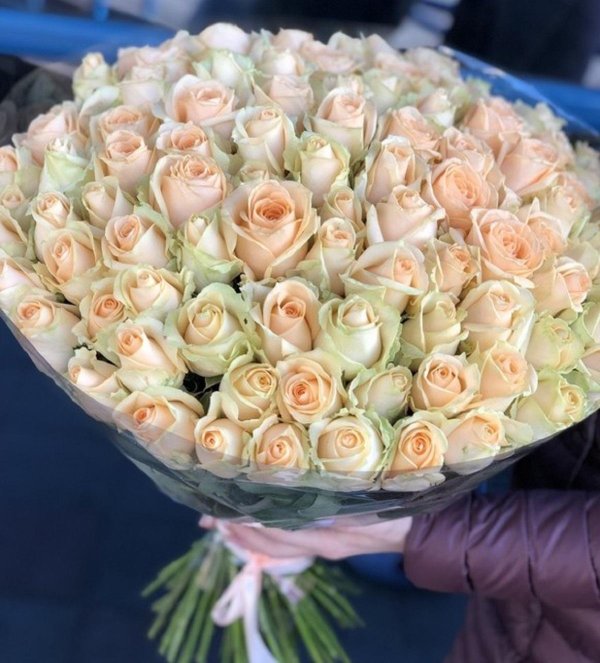 пич аваланж роза