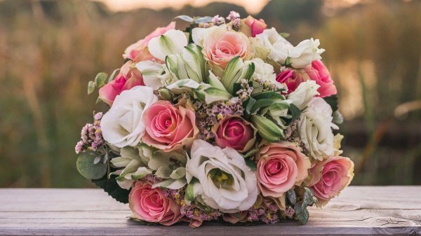 современная флористика