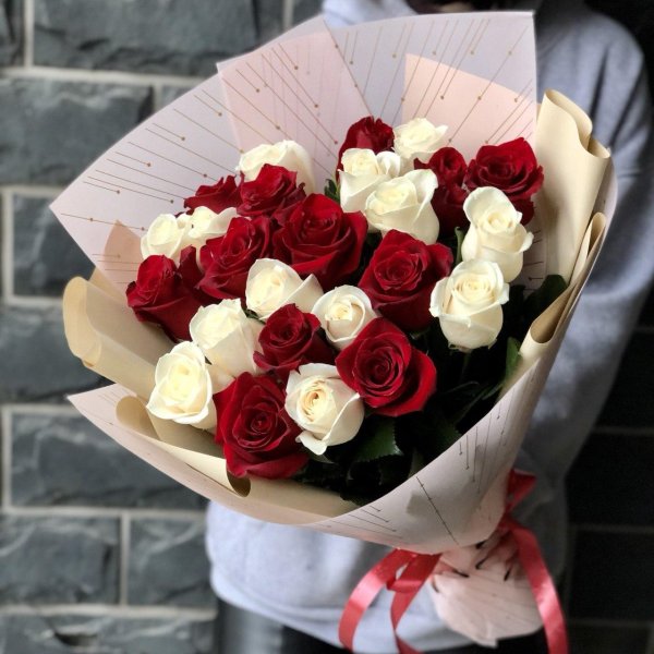 красно белая роза