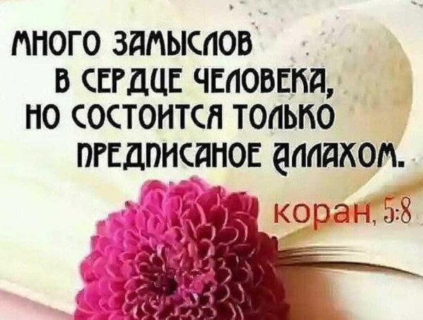 фразы из корана