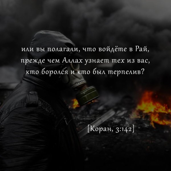 цитата мусульманская