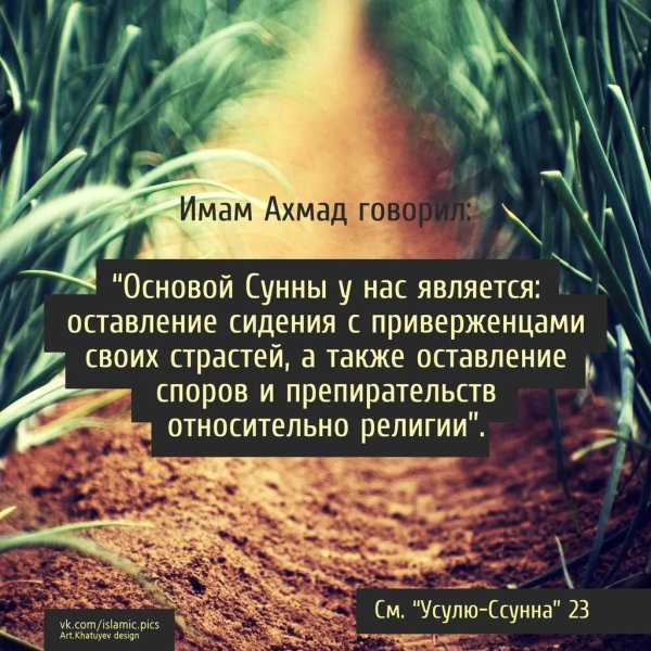 али ибн абу талиб хадисы