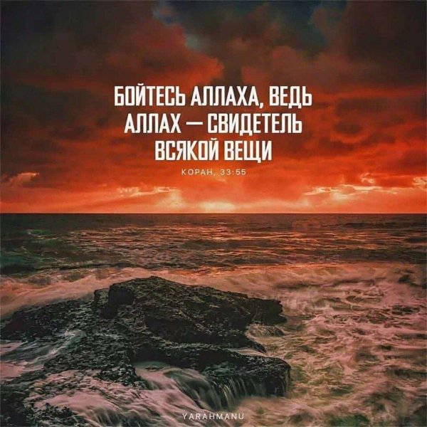 аллах свидетель всякой вещи