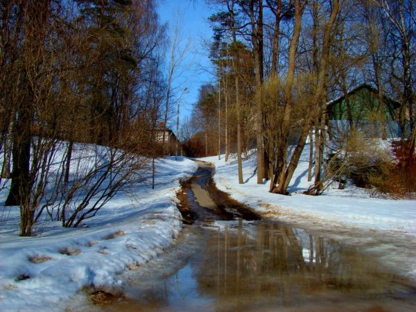 бщербаков журчат ручьи весенние