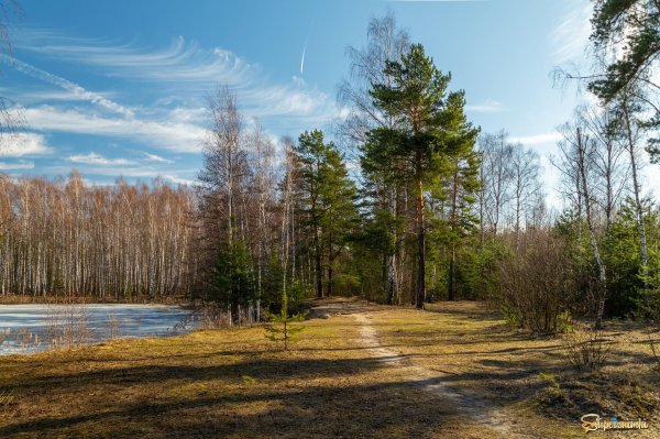 весенние пейзажи