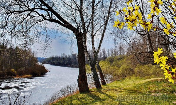 С ранней весной