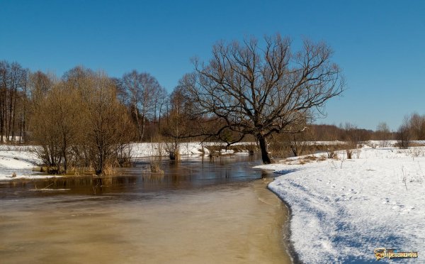 весенние пейзажи