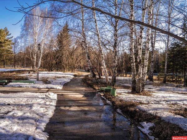 весенняя проталинка левитана