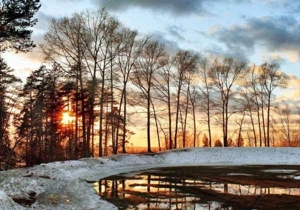 весенние пейзажи