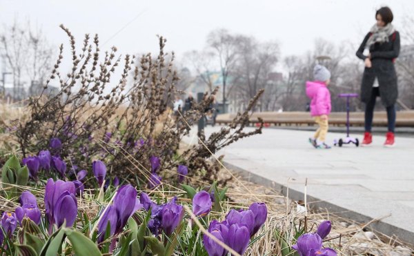 москва весной