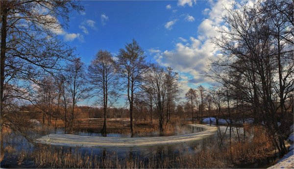 весенний разлив реки шерна