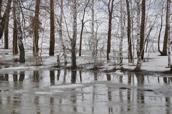 весеннее половодье