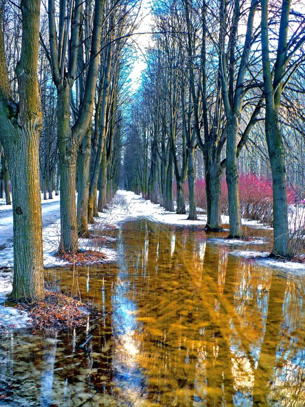 февральская оттепель