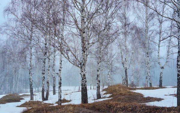 апрельские проталины