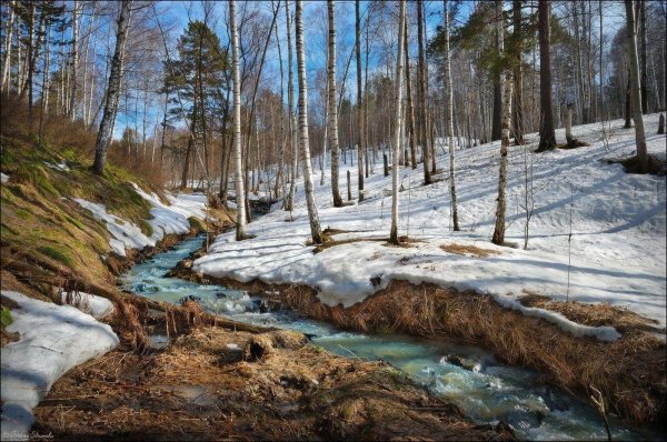 грабельников ручей