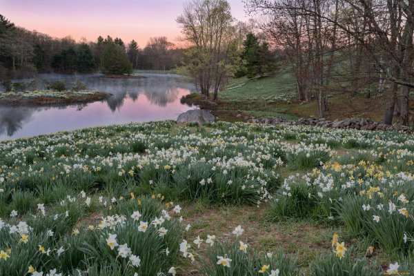 пейзажи природа