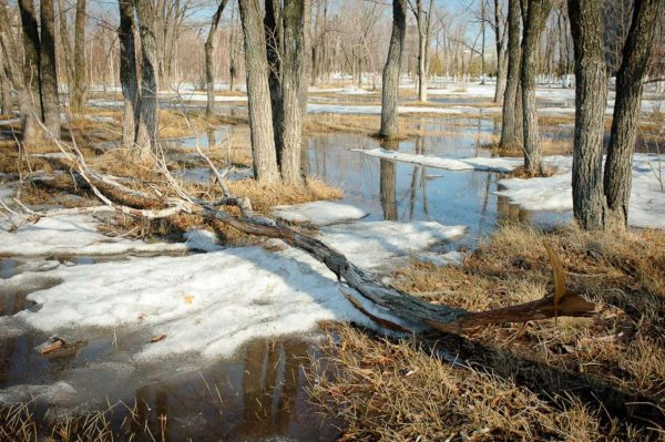 начало весны
