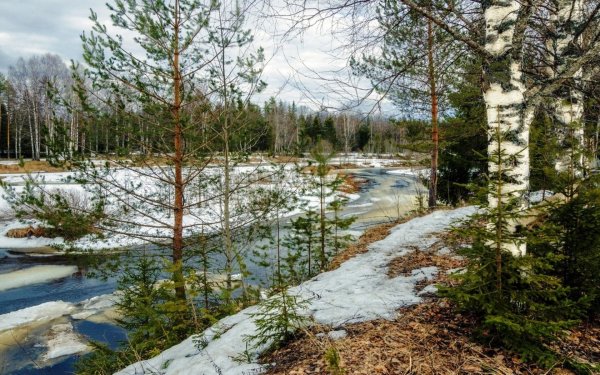 весенняя проталинка левитана