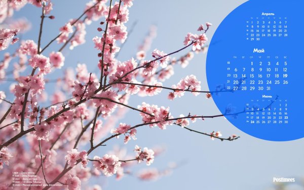 май календарь