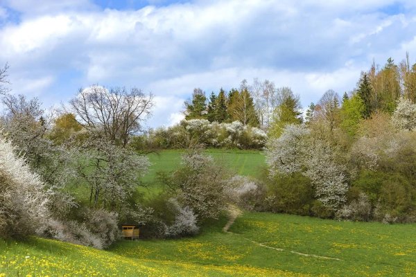 природа в апреле