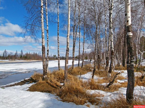 красивые пейзажи ранней весны