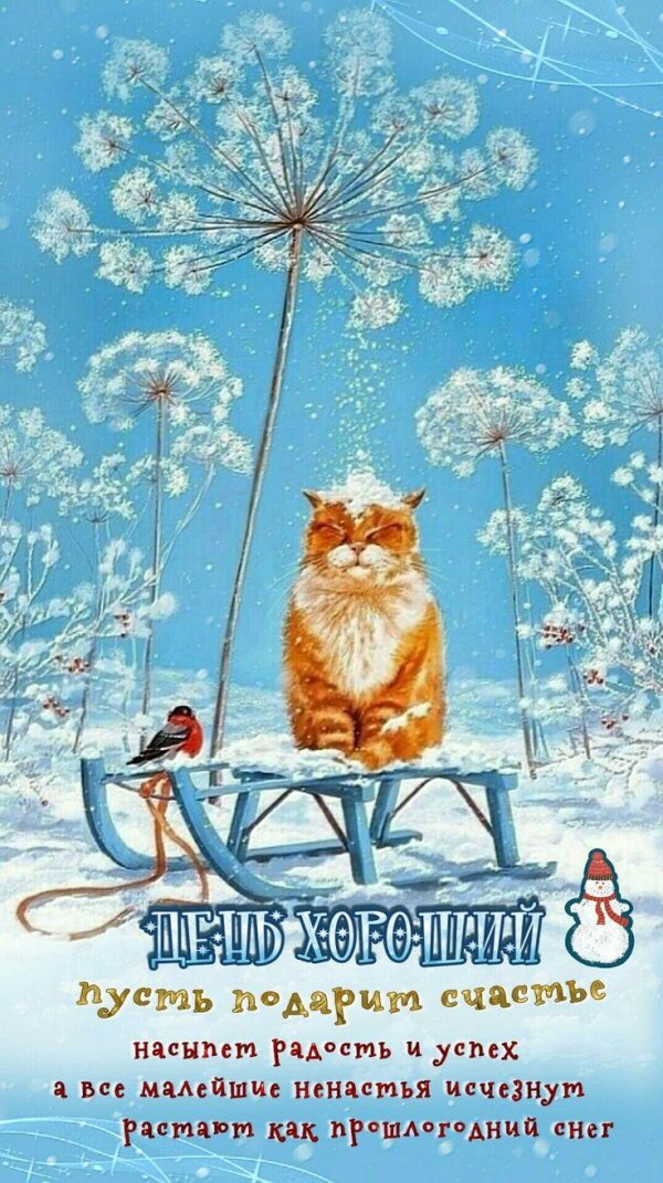 зимнее пожелание