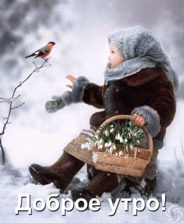 доброе сказочное утро зима