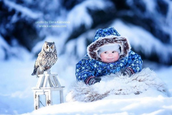 елена карнеева фотограф