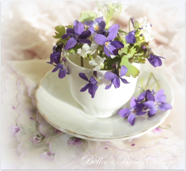 букет фиалки