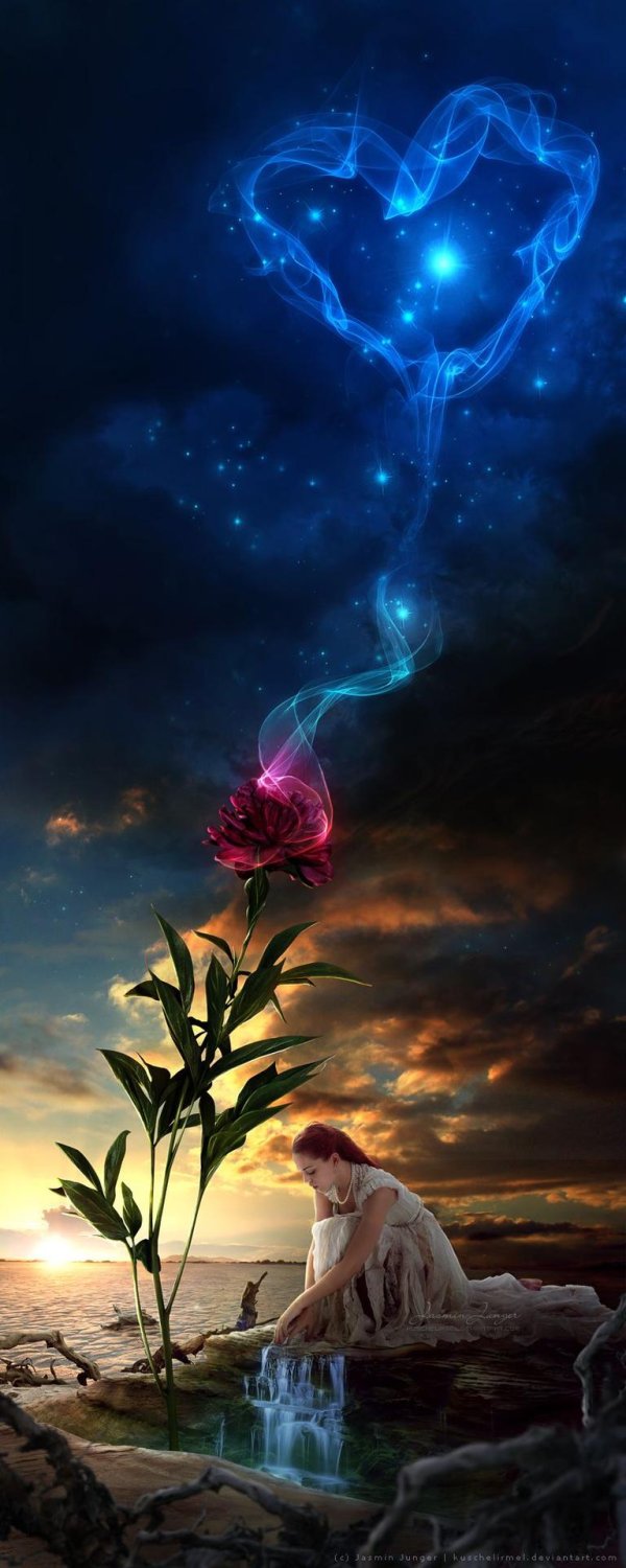 роза темная башня