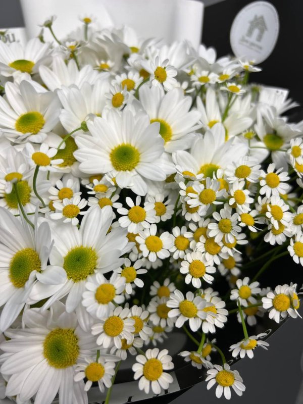 букет бакарди ромашковая хризантема