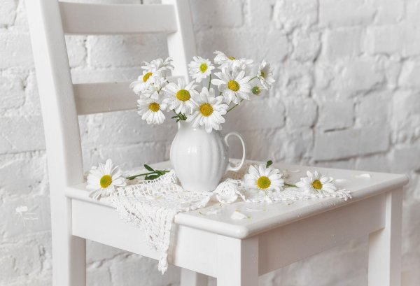 ромашка в вазе