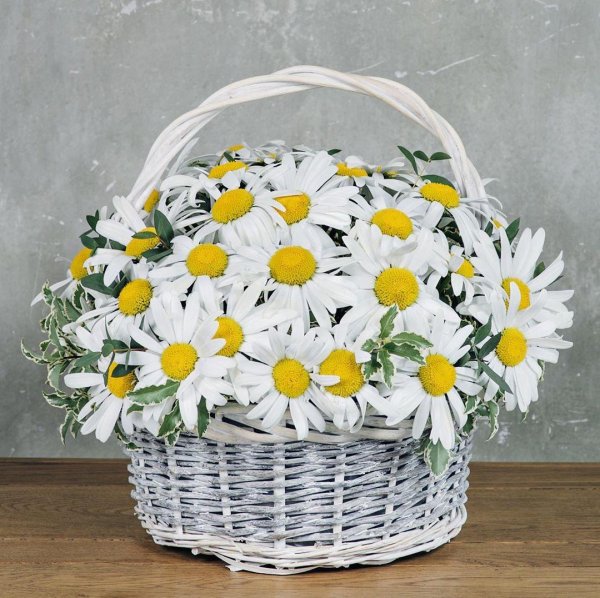 корзина с ромашками