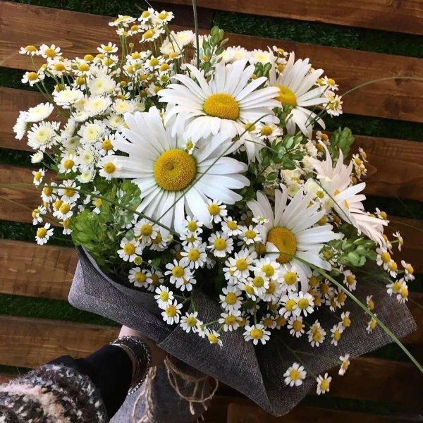 букет ромашек