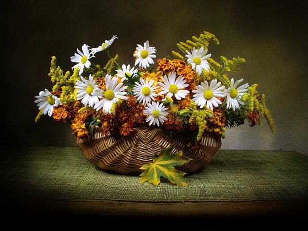 полевые цветы в корзине