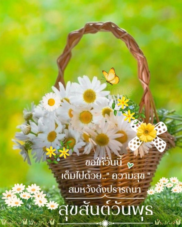 с ромашками