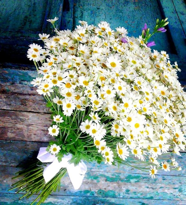 букет ромашек
