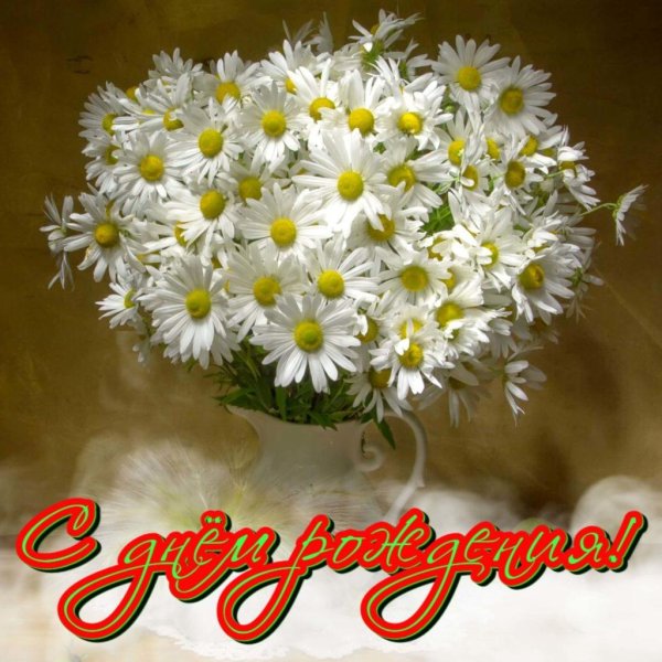 букет ромашек